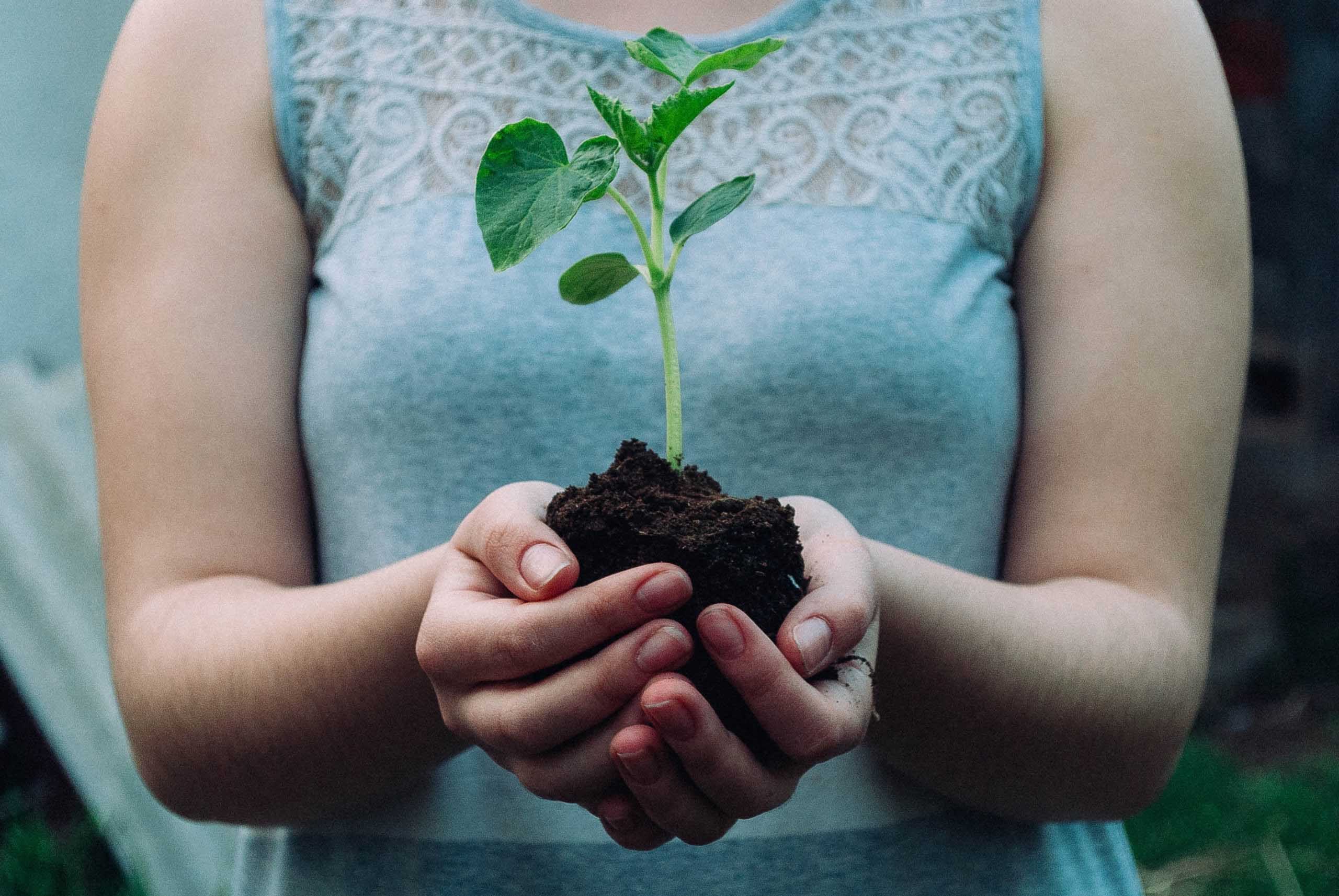 A woman holds a small plant rooted in soil