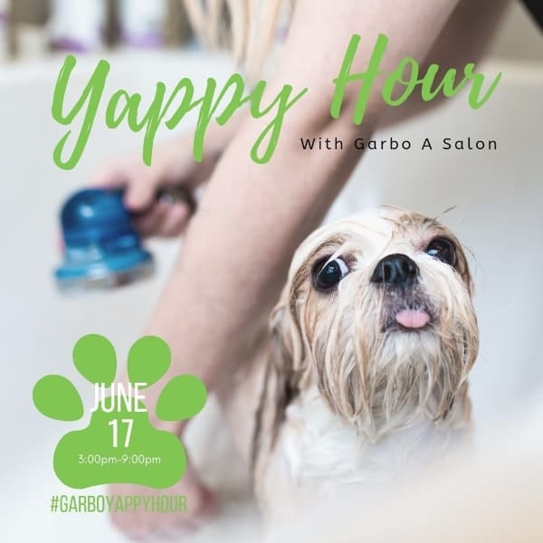 Dog bathing for Yappy Hour with Garbo Salon