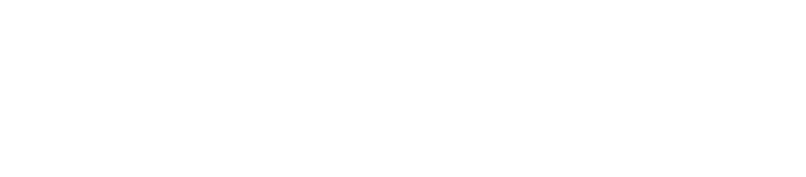 SalonBiz Logo