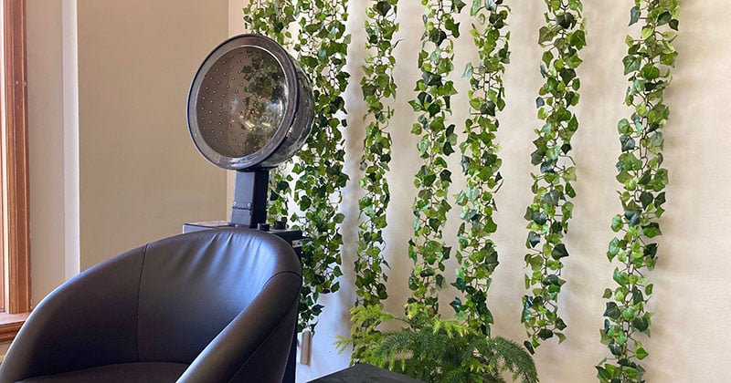 Salon chair in front of wall with vine decor