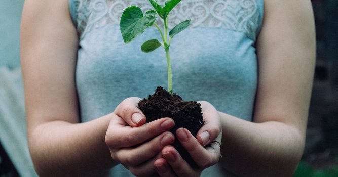 A woman holds a small plant rooted in soil