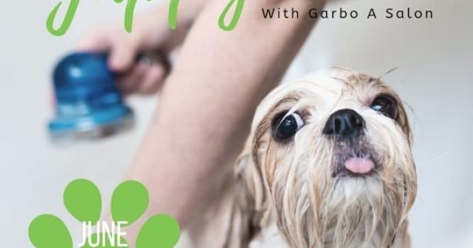 Dog bathing for Yappy Hour with Garbo Salon
