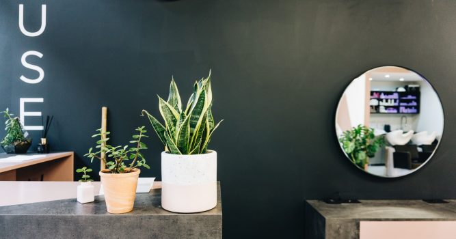 guest_lifecycle